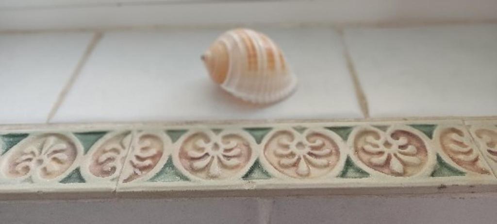 Appartamento Elerin Agia Efimia Esterno foto